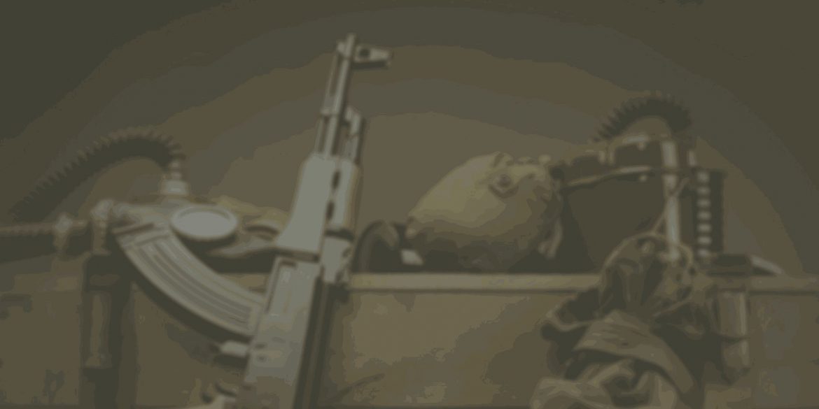 bg2.jpg