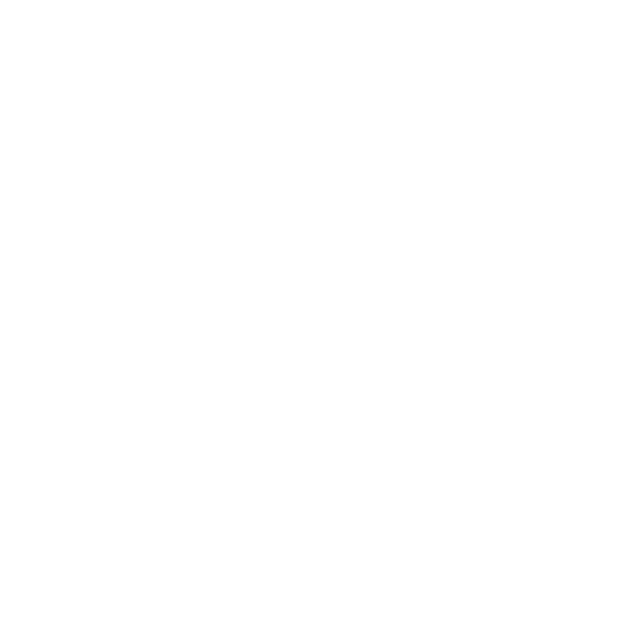 icon-index-10.png