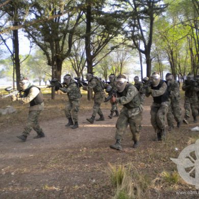 Seguridad y Defensa de Aeródromo