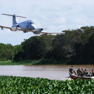 Supervivencia en la Selva