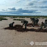 Supervivencia en el Desierto