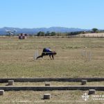 torneo interfuerzas