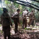 Ejercicio Operativo Supervivencia en la Selva