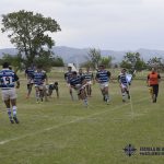 Torneo Nivelación de la Unión Cordobesa de Rugby